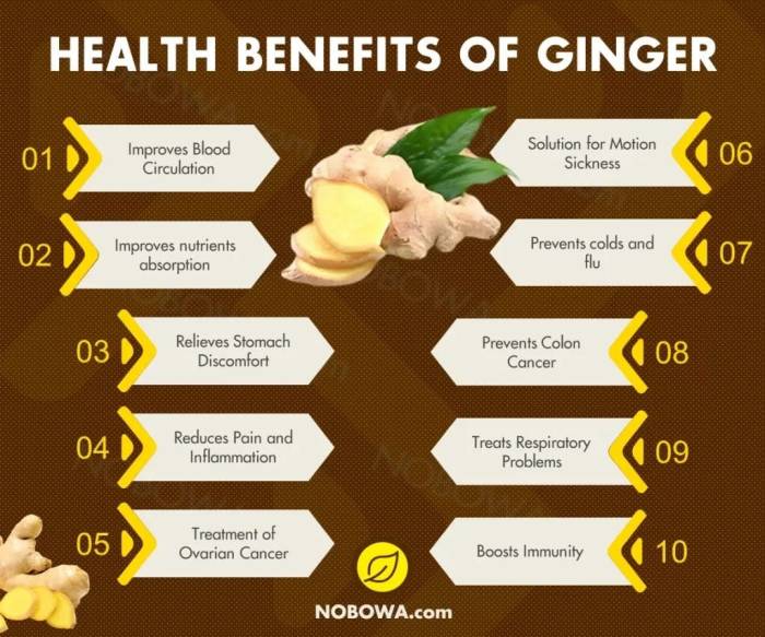 Ten Health Benefits of Ginger | by Dealzflight | Medium Ten Health Benefits of Ginger | by Dealzflight | Medium