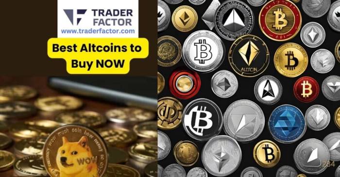 Best Altcoin 2025 - Amii Lynsey Best Altcoin 2025 - Amii Lynsey