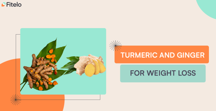 Turmeric And Ginger Benefits For Overall Health And Weight Loss