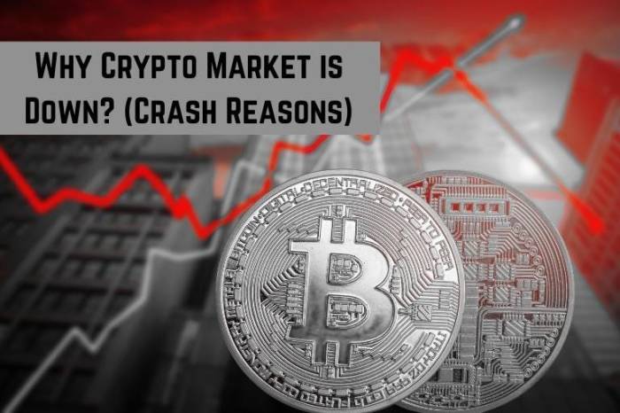 Crypto Market Crash Reason / 3 Reasons Why Bitcoin Has Doubled In Less ...