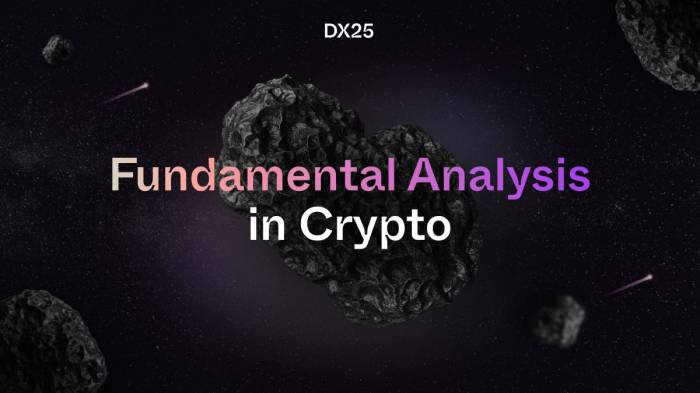 Quantifying Fundamental Analysis in the Cryptocurrency Market: Let Data ...