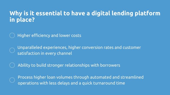 5 things to consider when choosing a digital lending platform - Bluering 5 things to consider when choosing a digital lending platform - Bluering