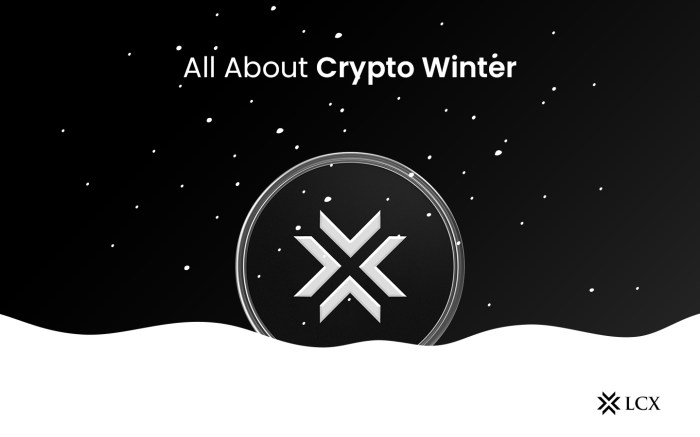 Why crypto winter is the best for donations | NOWPayments Why crypto winter is the best for donations | NOWPayments