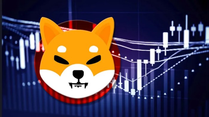 Top 3 Tokens with a Higher Profit Potential than Shiba Inu (SHIB) This ...