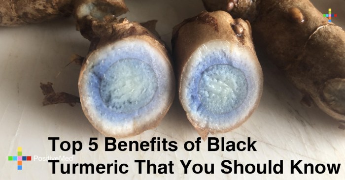 24Top-5-Benefits-of-Black-Turmeric-That-You-Should-Know - PositiveMed 24Top-5-Benefits-of-Black-Turmeric-That-You-Should-Know - PositiveMed