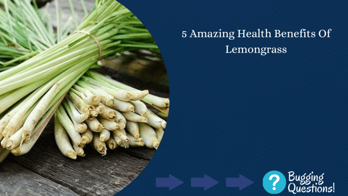 The Health Benefits of Lemongrass The Health Benefits of Lemongrass