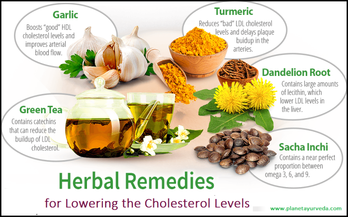 7 Herbal Remedies for Lowering Cholesterol Levels | ArticleCube