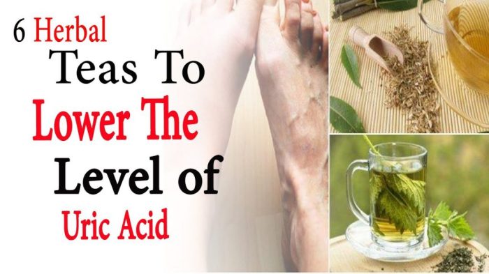 6 herbal teas to lower the level of uric acid | Natural Health – Man ...