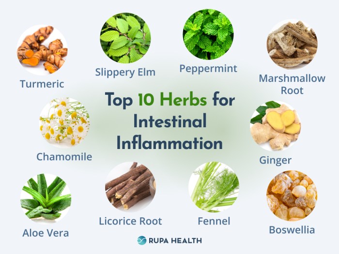 Herbal Remedies: Stomach Pain Medicine Teh herbal untuk lambung