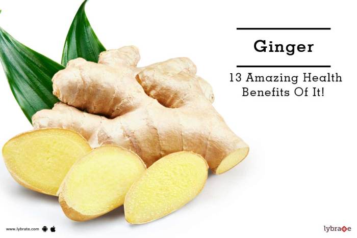 7 Ginger Health Benefits to know about • Eat, Sleep, Wander 7 Ginger Health Benefits to know about • Eat, Sleep, Wander