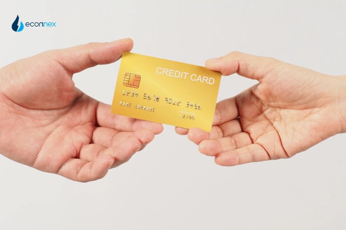Cashback vs. Points: Choosing the Ideal Credit Card Rewards Cashback vs. Points: Choosing the Ideal Credit Card Rewards