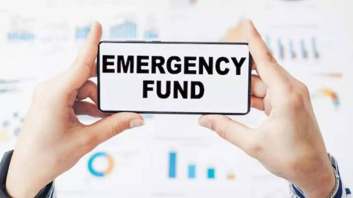 A Different Spin on an Emergency Fund: Massive Prevention - Cash ... Dompet elektronik dana kaget