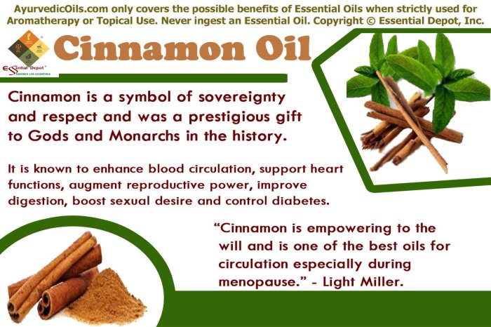 Ayurvedic health benefits of Cinnamon essential oil | Essential Oil