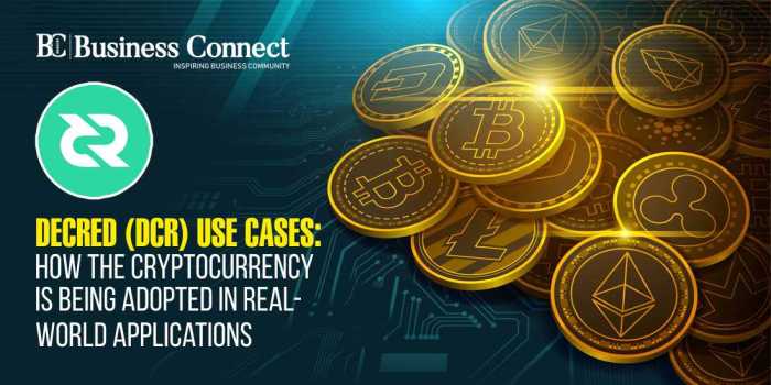 Mainstream Crypto Adoption Resembles Early Internet | BitIRA®