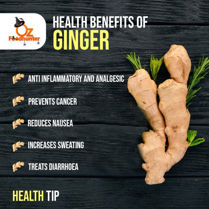 Ginger Benefits Manfaat jahe merah untuk kesehatan