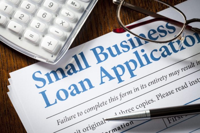 Small Business Loans in Noida | ID: 2852542339230