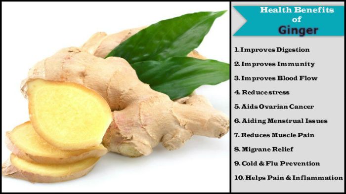 These Amazing Benefits Of Ginger Will Surprise You |Amazing Health ... These Amazing Benefits Of Ginger Will Surprise You |Amazing Health ...