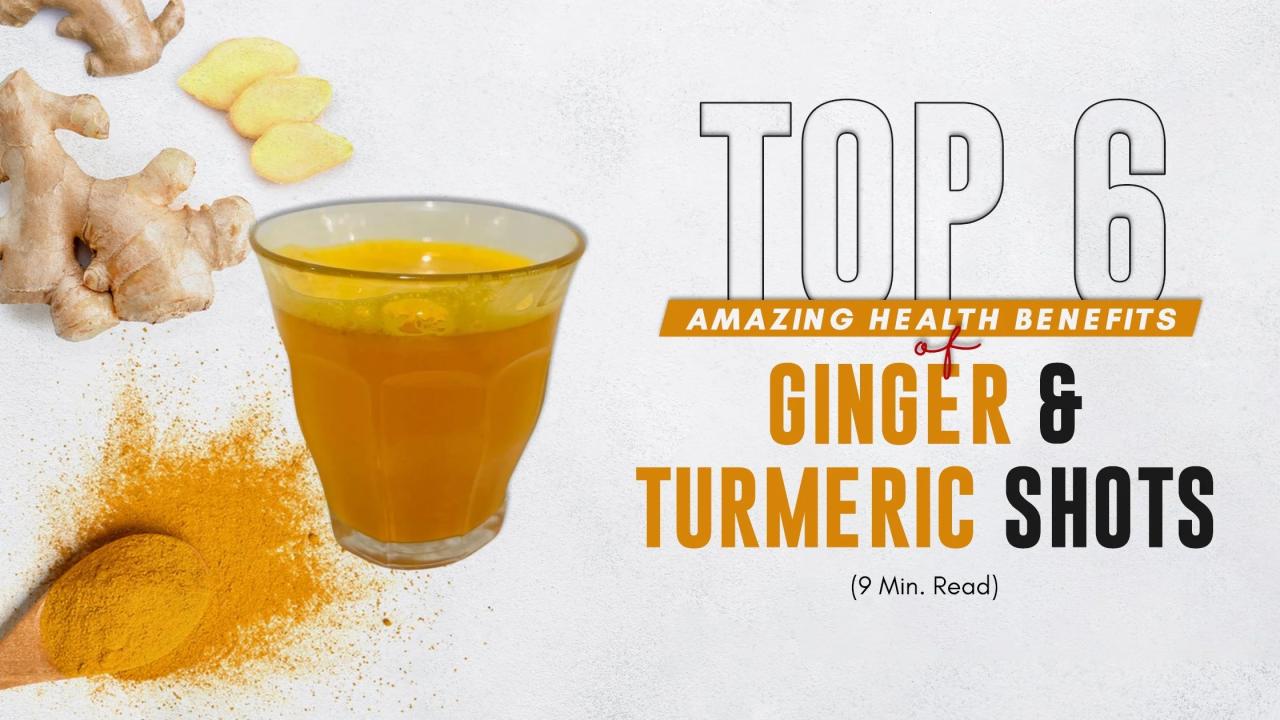 Premium Photo | Herb and spices. Lemongrass, ginger, turmeric, kencur ...