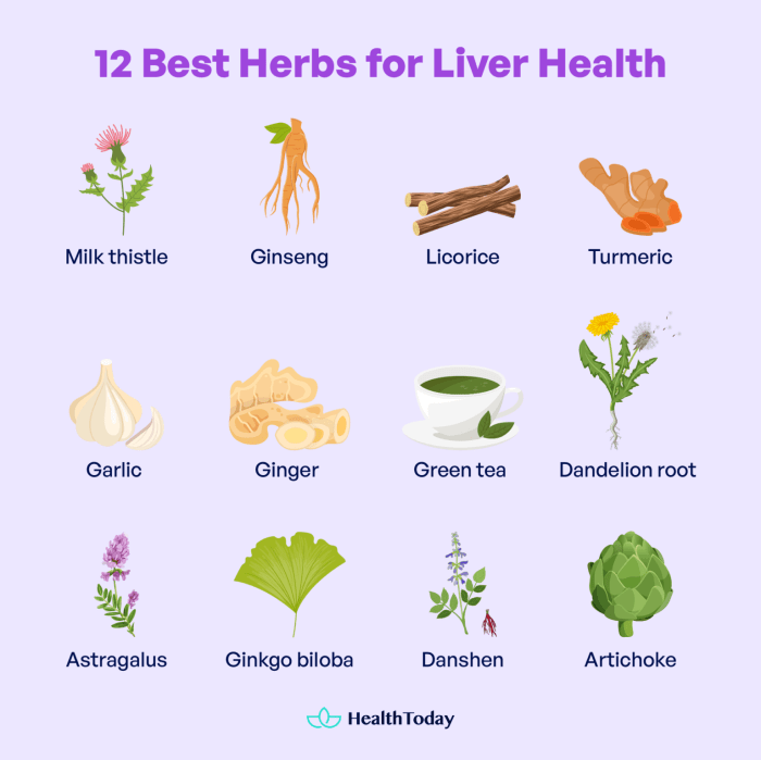 Teh herbal untuk kesehatan liver