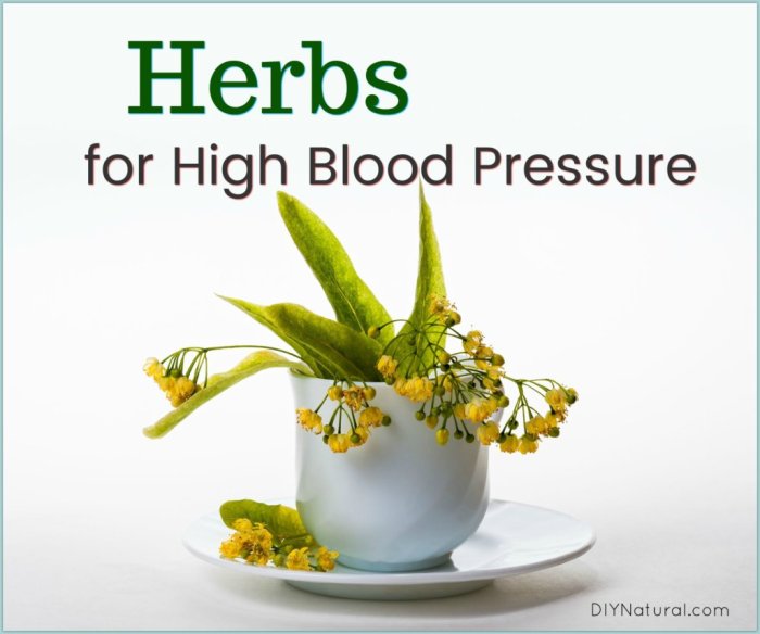 Herbs for High Blood Pressure: Strategies to Help Regulate It Naturally