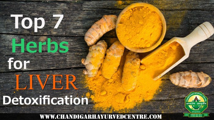 Brain Healthy Foods, Healthy Liver, Liver Health, Brain Food, Cold Home ...