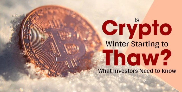 A Brief History of Crypto Bull and Bear Markets - 101 Blockchains A Brief History of Crypto Bull and Bear Markets - 101 Blockchains
