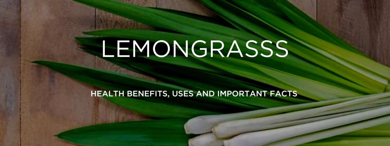 Lemongrass - Health Benefits, Uses and Important Facts - PotsandPans India Lemongrass - Health Benefits, Uses and Important Facts - PotsandPans India