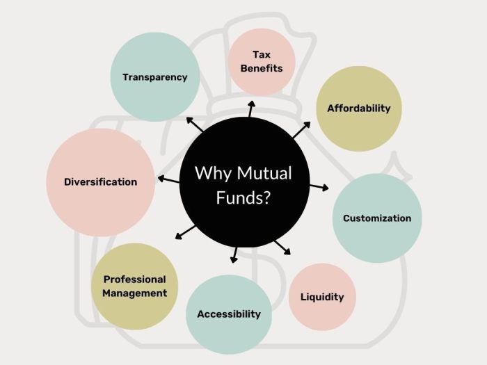 Why Investing in Mutual Fund is a Smart Move - Online Finance Solution ...