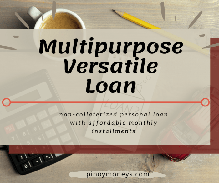 A Multipurpose Versatile Loan - Pinoy Moneys