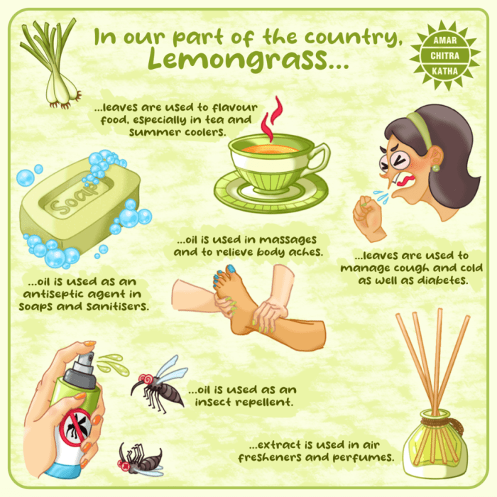 Health Benefits of Lemongrass | लेमन ग्रास के बेमिसाल फायदे और इस्तेमाल ... Health Benefits of Lemongrass | लेमन ग्रास के बेमिसाल फायदे और इस्तेमाल ...