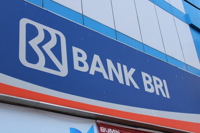 Pinjaman Pertama Kur Bri - Homecare24 Pinjaman kur bri