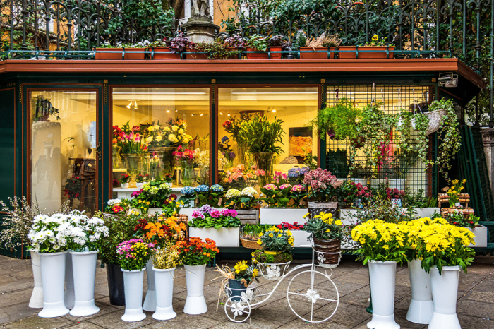 The Ultimate Guide to Beautiful Blooms: Choosing the Best Flower Shop ... The Ultimate Guide to Beautiful Blooms: Choosing the Best Flower Shop ...