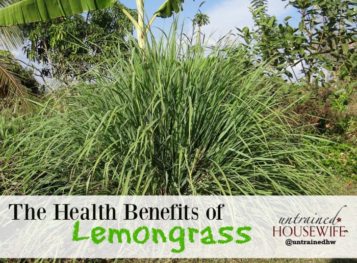 Health Benefits of Lemongrass - YouTube