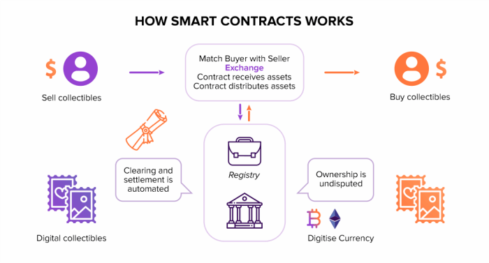 3 NFT Smart Contract Examples + What Each Function Means