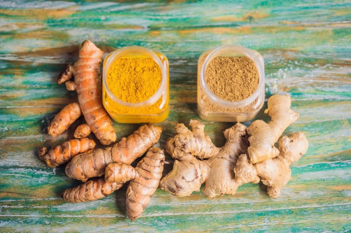 Discover the Health Benefits of Turmeric and Ginger Discover the Health Benefits of Turmeric and Ginger
