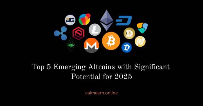 ๎Top๎ 5 Emerging ๎Altcoins๎ with Significant ๎Potential๎ ๎for 2025๎ | by Ahsan ... ๎Top๎ 5 Emerging ๎Altcoins๎ with Significant ๎Potential๎ ๎for 2025๎ | by Ahsan ...