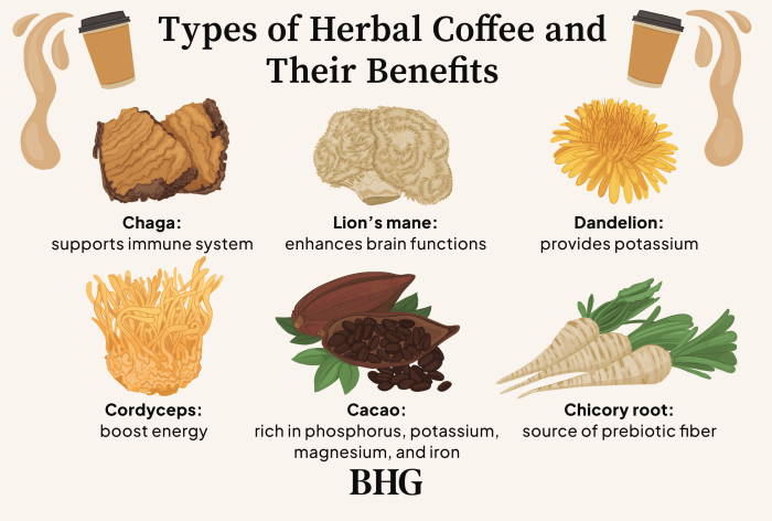 Delicious Obsessions Herbal Coffee Alternative - Check out these ...