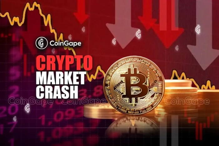 Crypto Crash: Top 5 Reasons Why the Price of Cryptocurrencies is Dropping