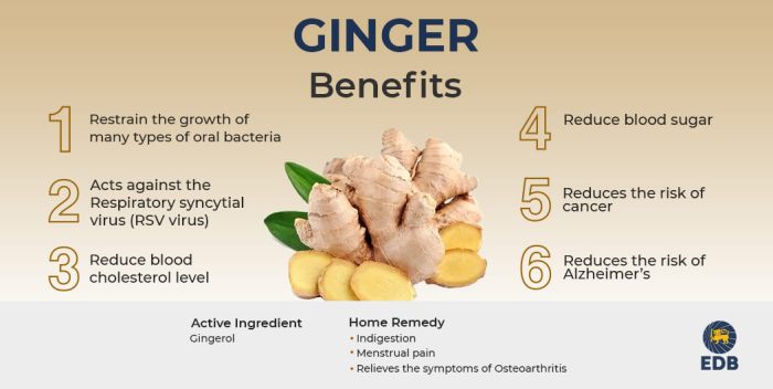 Ginger Benefits Manfaat jahe merah untuk kesehatan