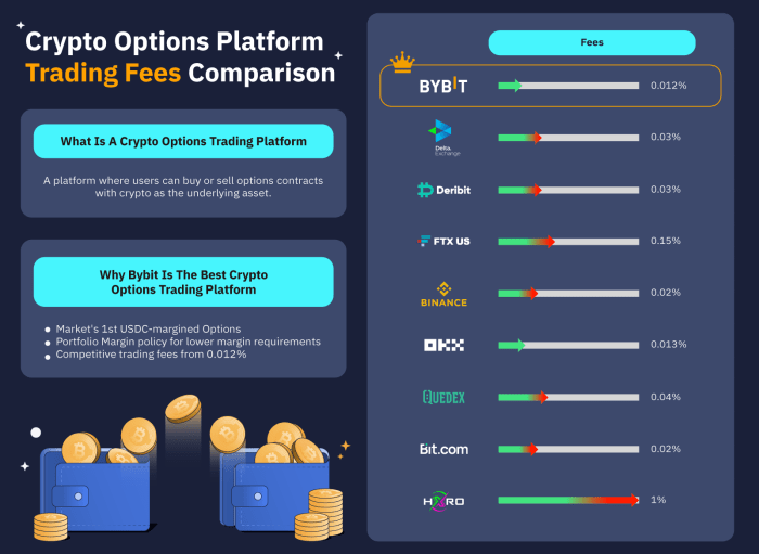 9 Best Crypto Options Trading Platforms For Hedging Strategies | Bybit ... 9 Best Crypto Options Trading Platforms For Hedging Strategies | Bybit ...