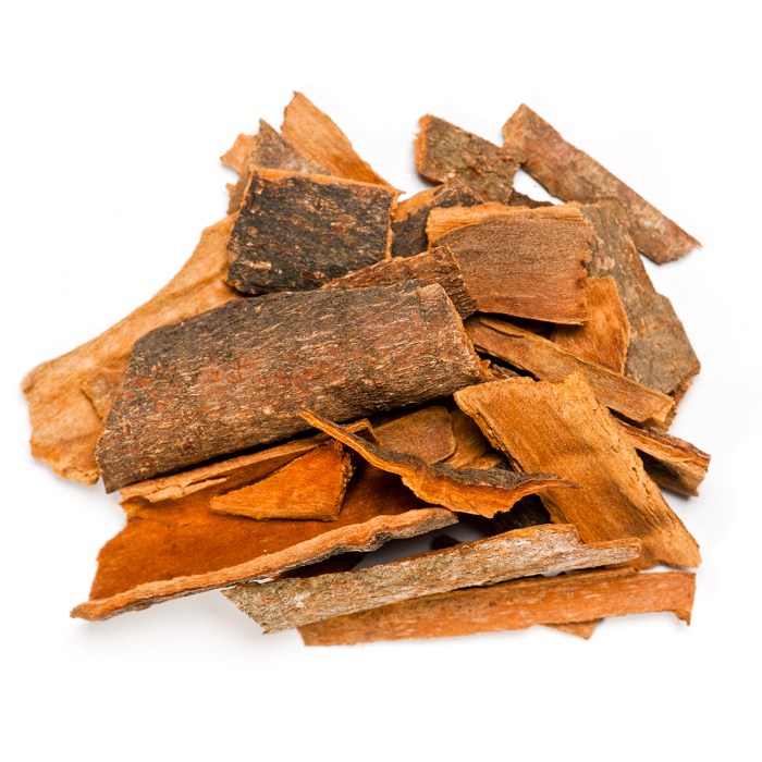 Cinnamon Bark Tree