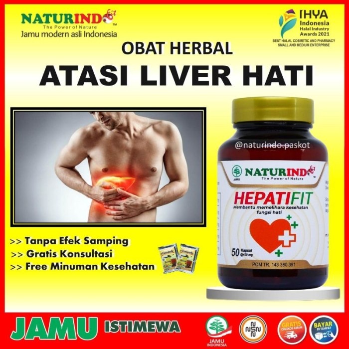 Managing Liver Health in the UAE with Herbal Supplements | HealthTrip