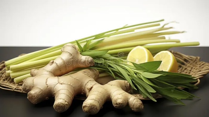 What Are the Benefits of Lemongrass and Ginger Tea? | livestrong Manfaat serai dan jahe