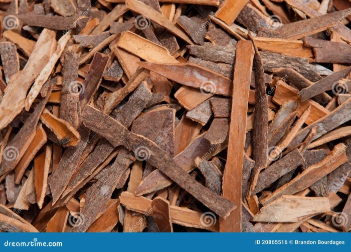 Cinnamon Bark (cinnamon) Stock Photography - Image: 27871182