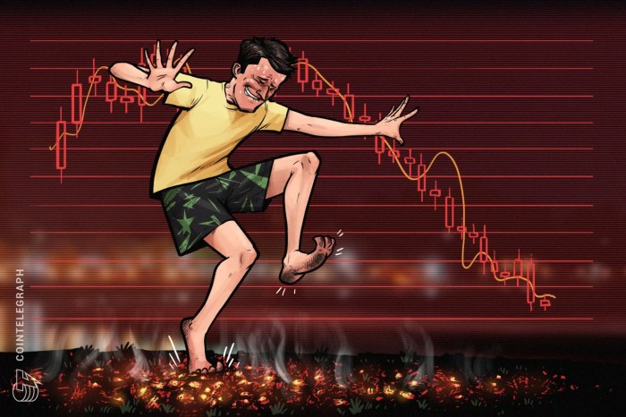 The Downfall Of Cryptocurrency | Cryptocurrency Market Crash Explained 2021