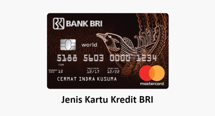 11 Jenis Kartu Kredit BRI (Limit, Bunga dan Syarat) 11 Jenis Kartu Kredit BRI (Limit, Bunga dan Syarat)