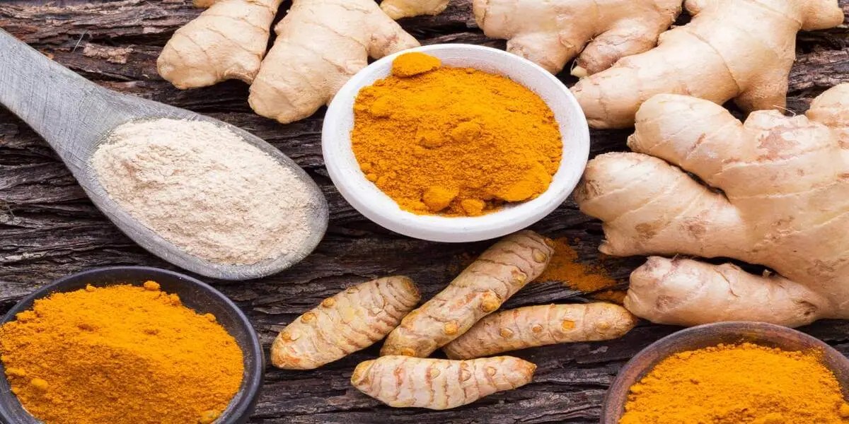 Manfaat jahe kunyit sereh lengkuas untuk diet