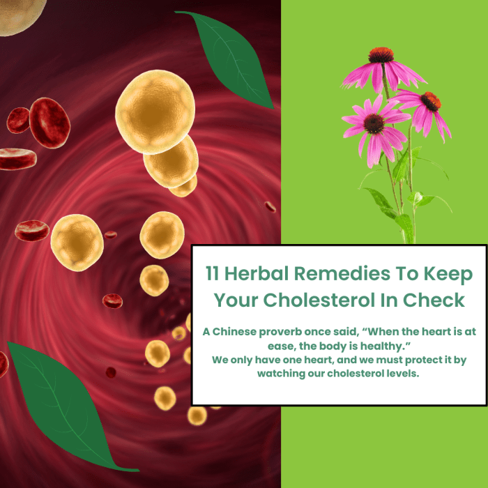 Natural Herbs to Lower Cholesterol | Lower cholesterol naturally ...