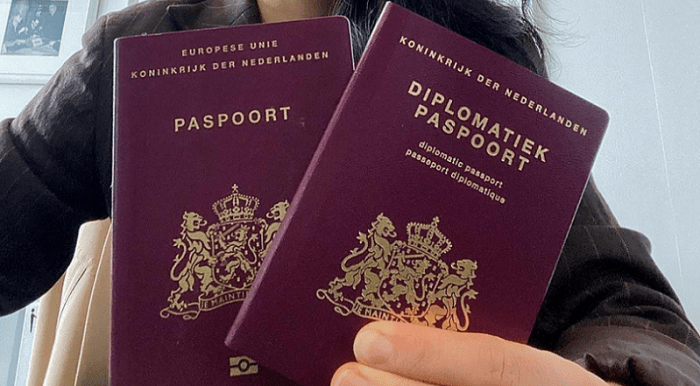 Loss of Dutch Nationality Automatically - Adults - 2021feb DEF | PDF ... Loss of Dutch Nationality Automatically - Adults - 2021feb DEF | PDF ...