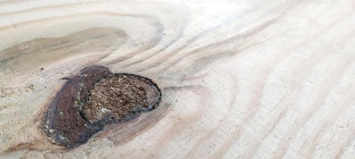 Dutch teak wood which has a unique fiber is suitable as a background ...